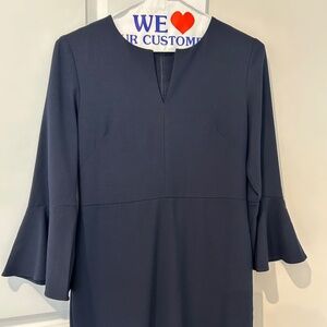 Ann Taylor flounce-sleeve shift dress